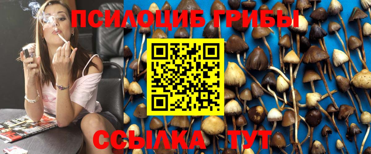 Псилоцибиновые грибы MAGIC MUSHROOMS Кызыл