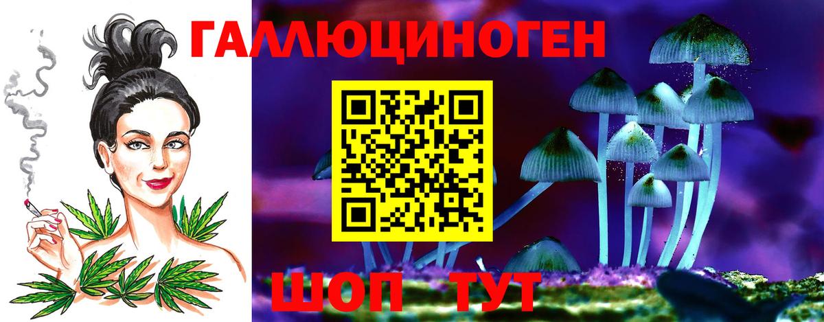 Кызыл  Галлюциногенные грибы MAGIC MUSHROOMS  закладка  Вход с VPN 